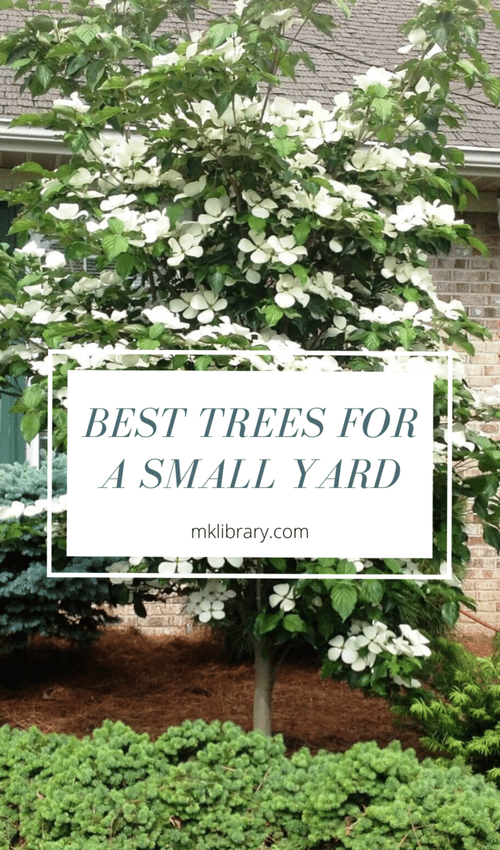 Best trees for a small yard