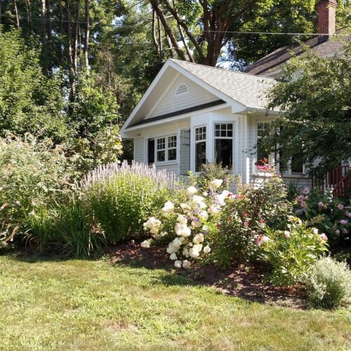 Environmental effects of planting non-native trees featured