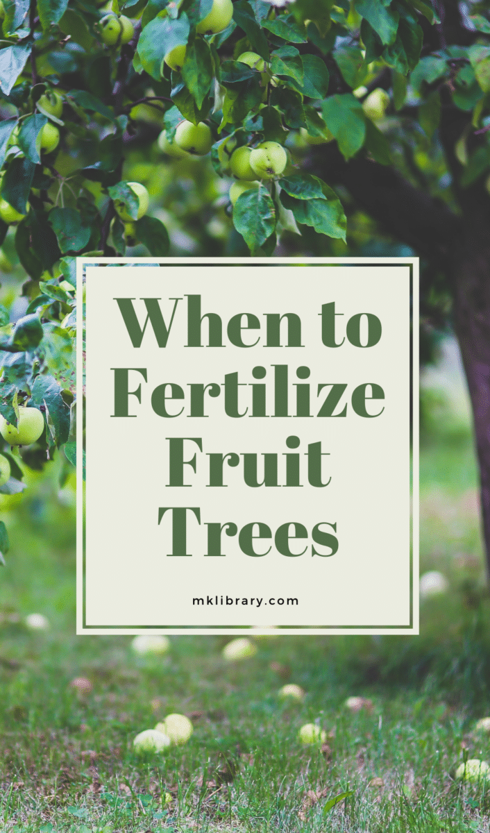 When to fertilize fruit trees pin