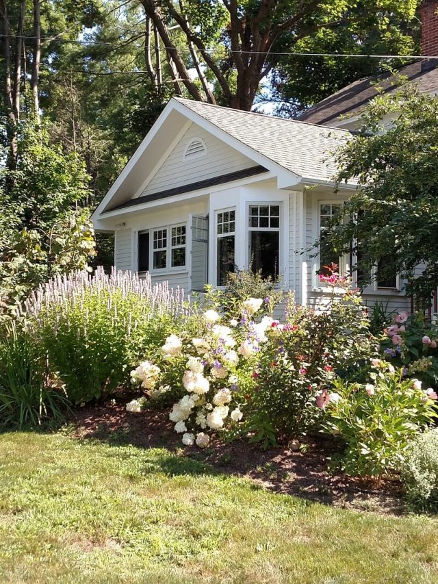 Environmental Effects of Planting Non-Native Trees Story