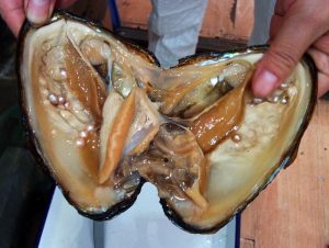 Everything you wanted to know about cultured pearls