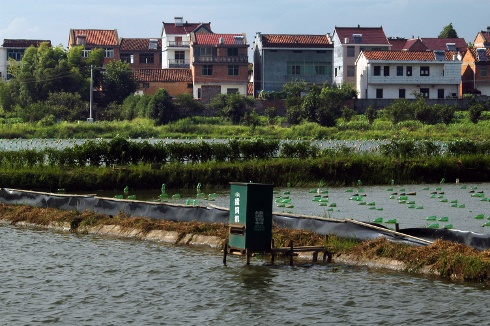 Pearl culture farm