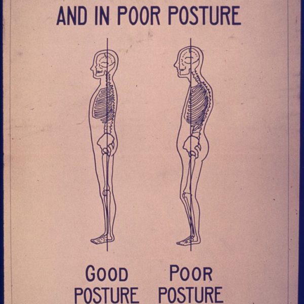 Posture improvement skeleton