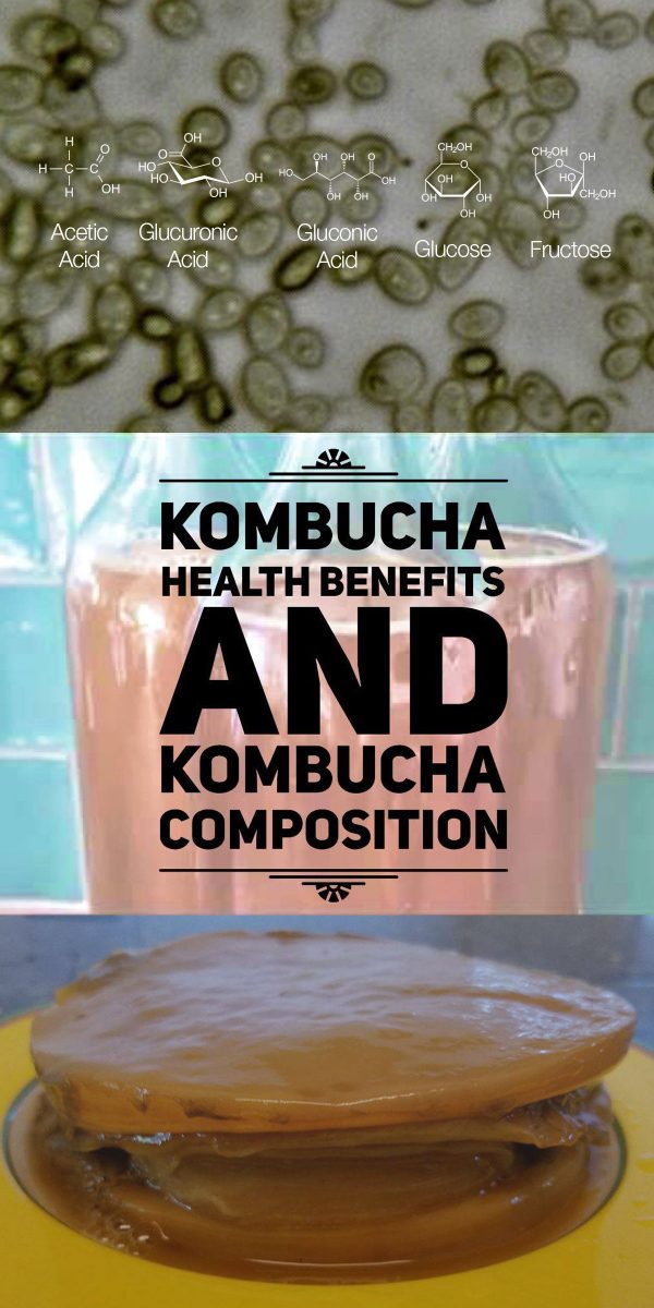 Kombucha Health Benefits And Kombucha Composition – MK Library