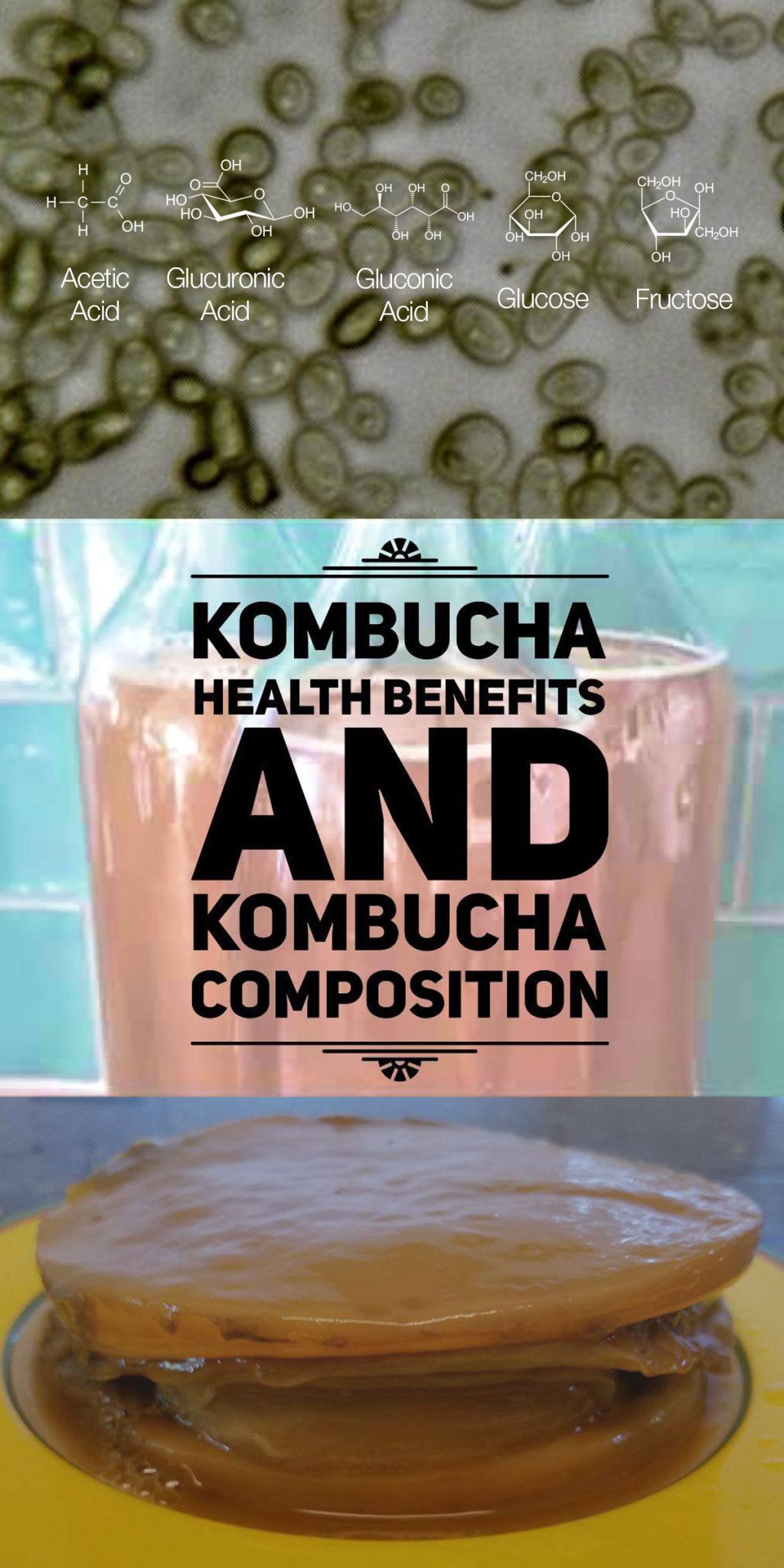 Kombucha health benefits pinterest