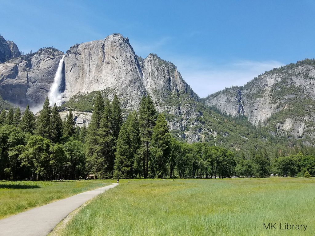 Spectacular Sights In Yosemite That Are Easily Walkable - MK Library