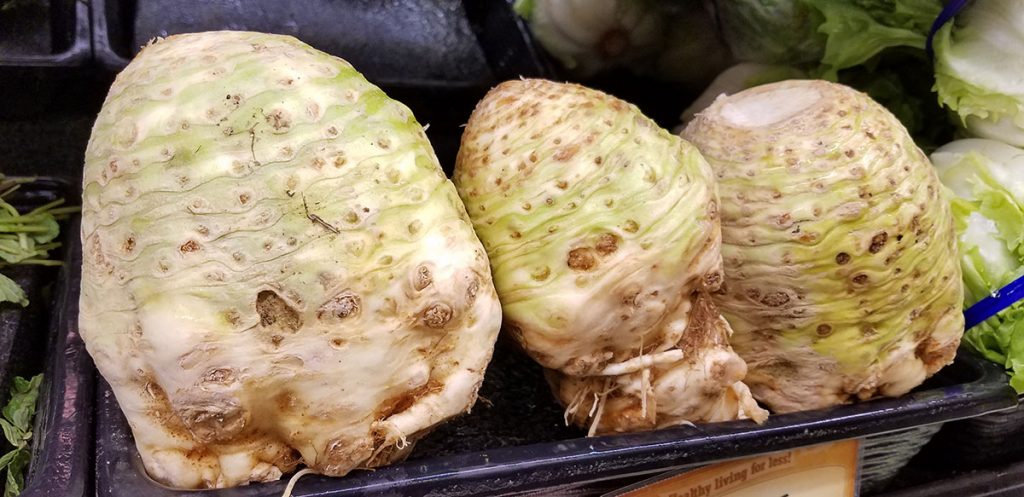 Selecting the perfect celeriac in the store