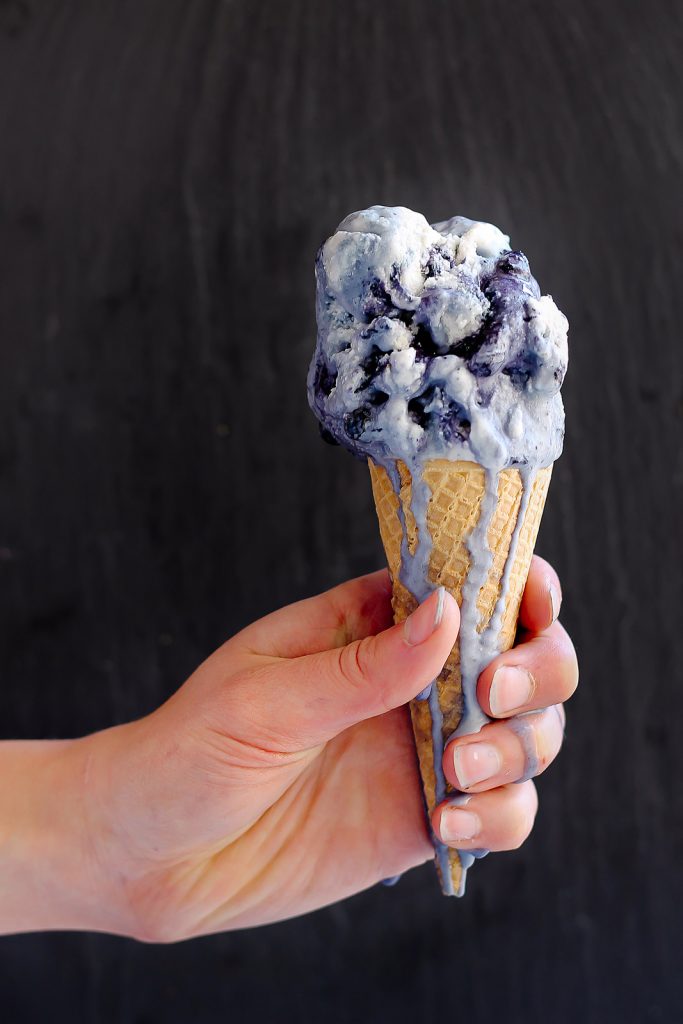 Wild blueberry lavender coconut ice cream recipe