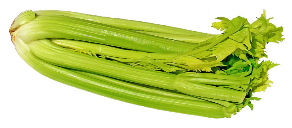 Standard bright green celery
