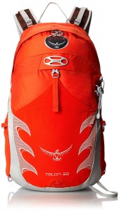 Osprey talon 22 daypack