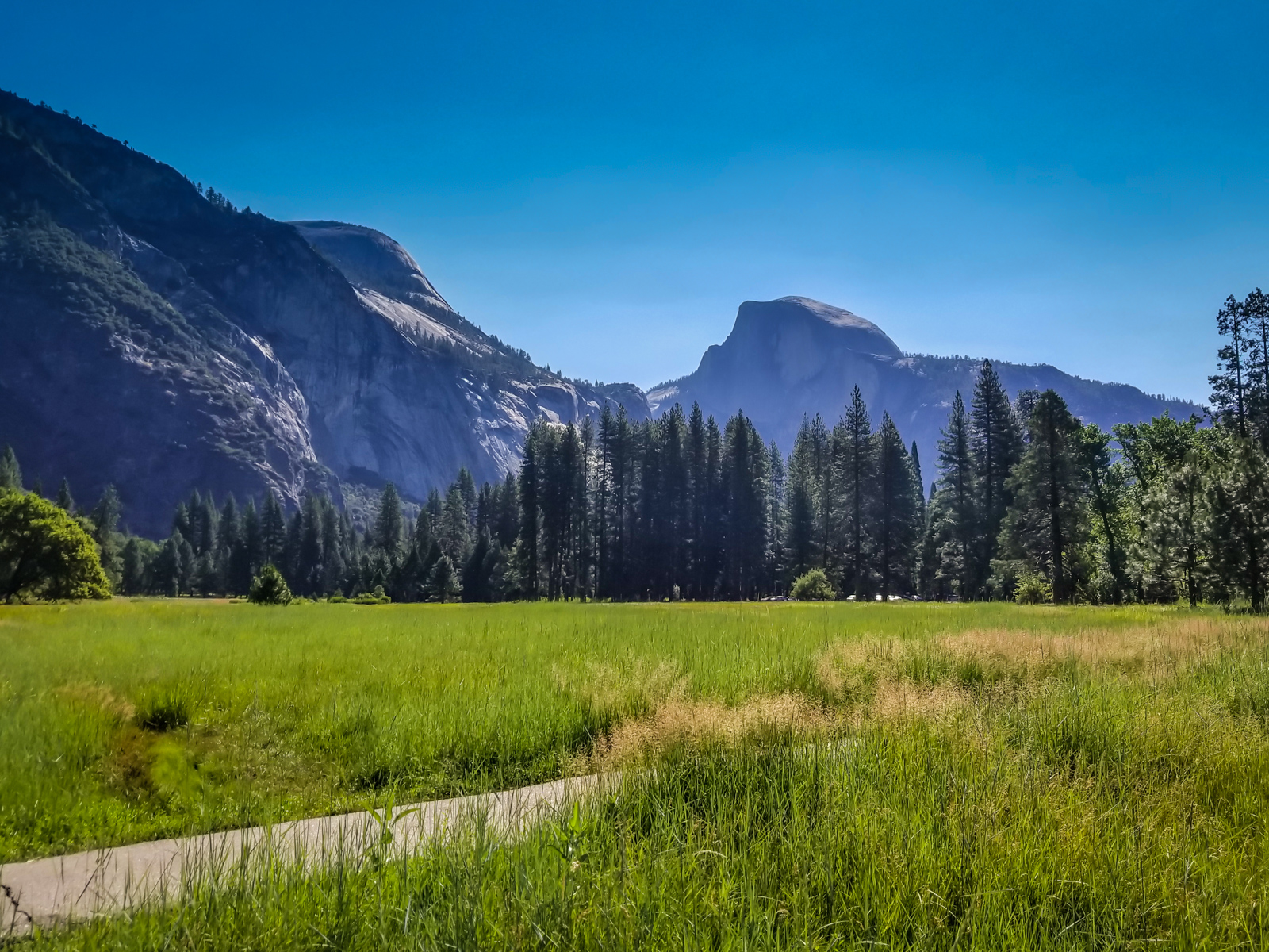 Yosemite national park meadow view