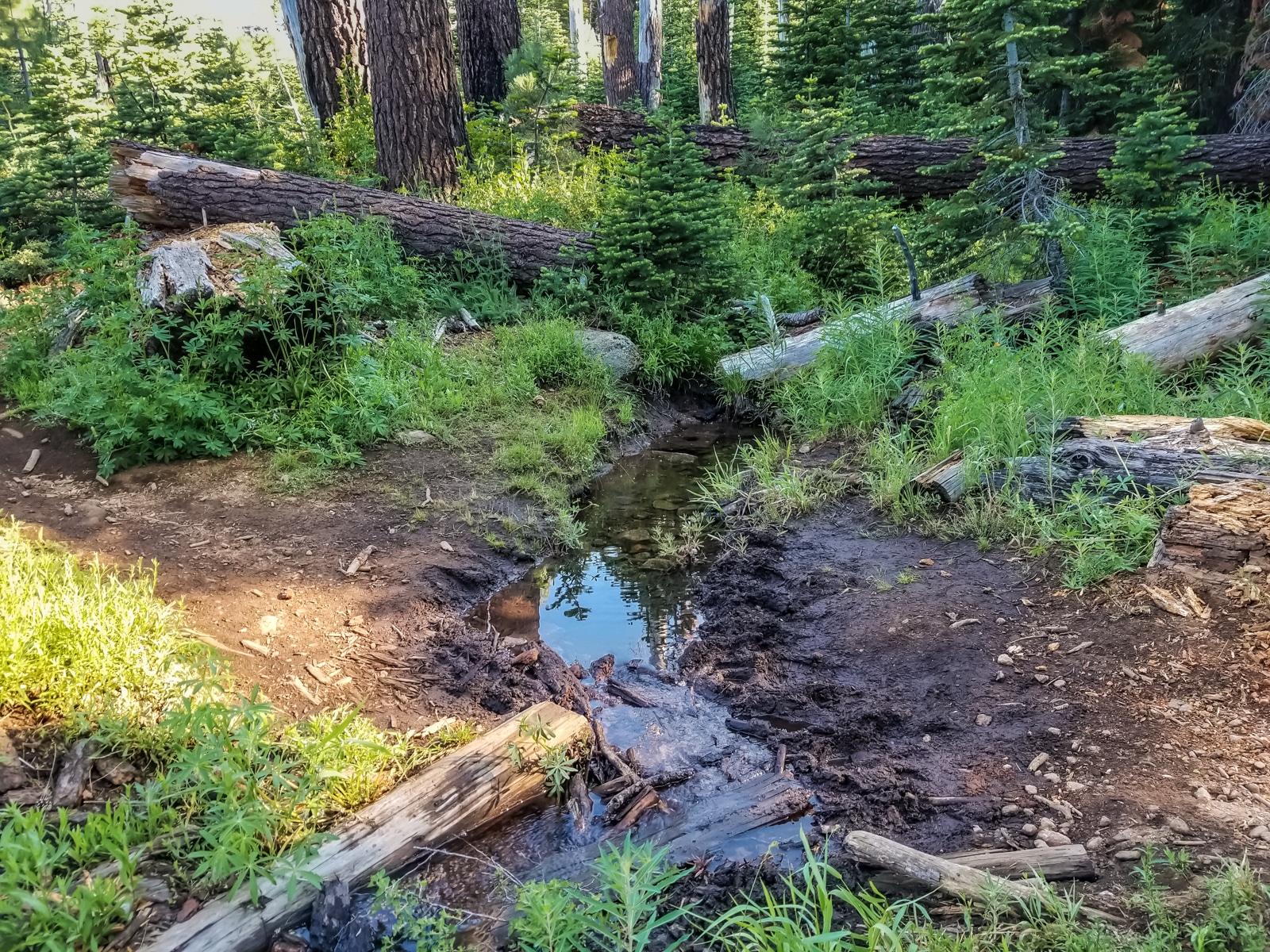 Yosemite ostrander lake stream crossing