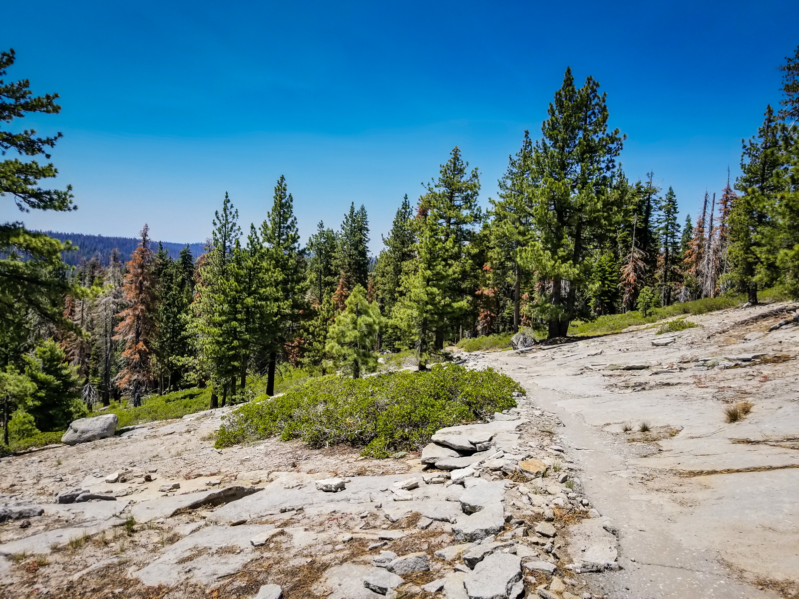 Ostrander lake trail sale
