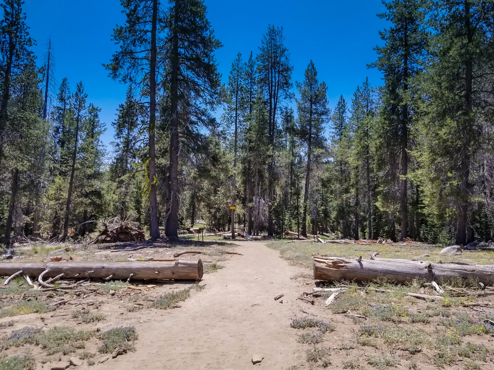 Yosemite ostrander lake trail splitting first