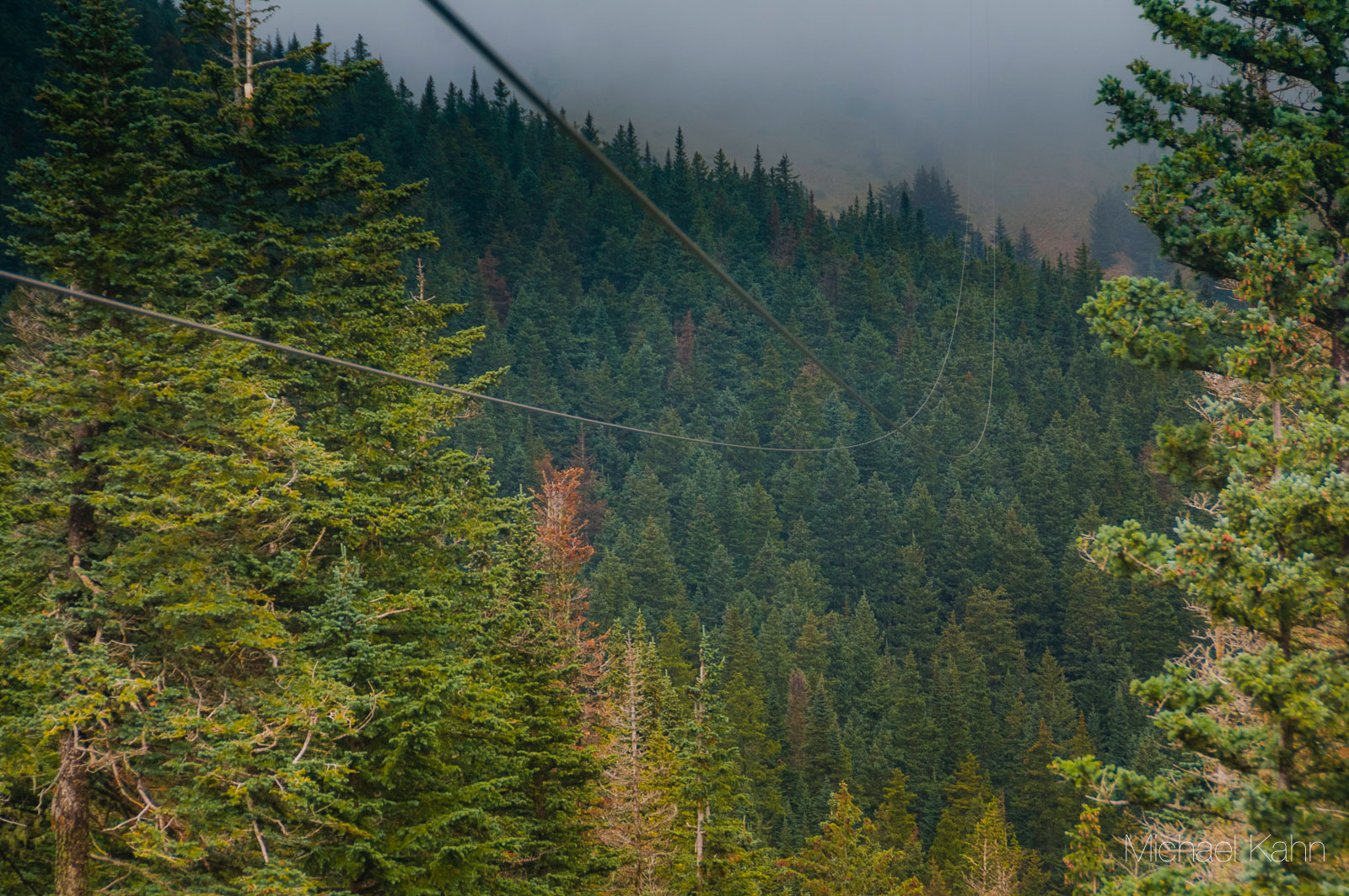 Ziplining in ruidoso new mexico