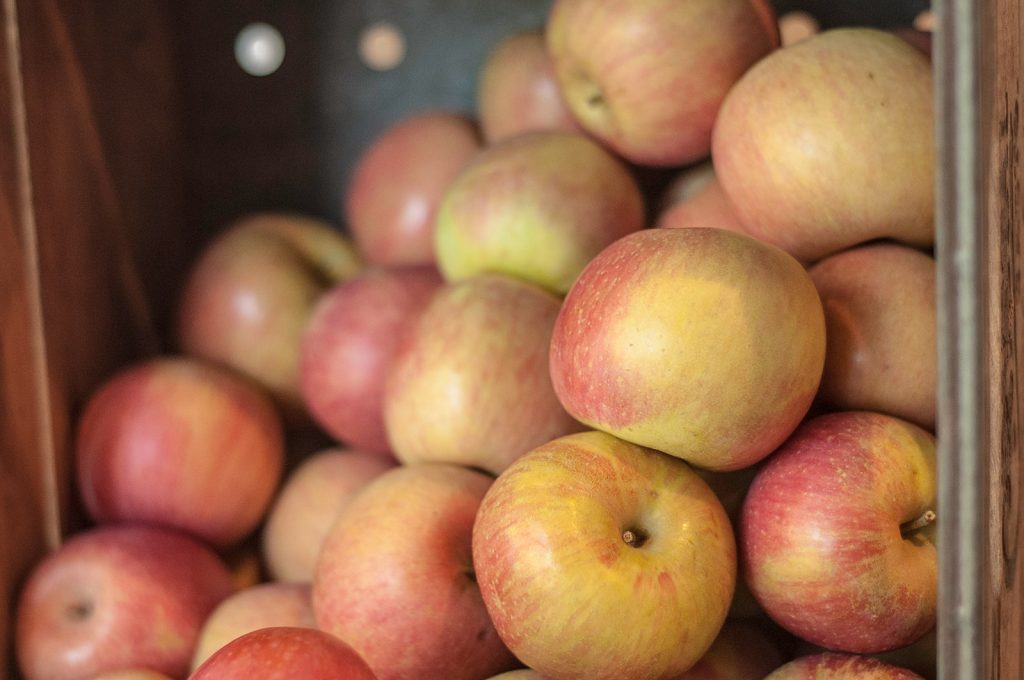 Applesauce apples recipe