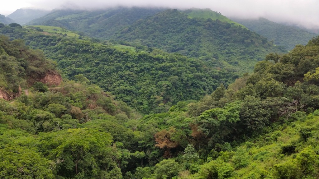 Puerto vallarta coffee mountains