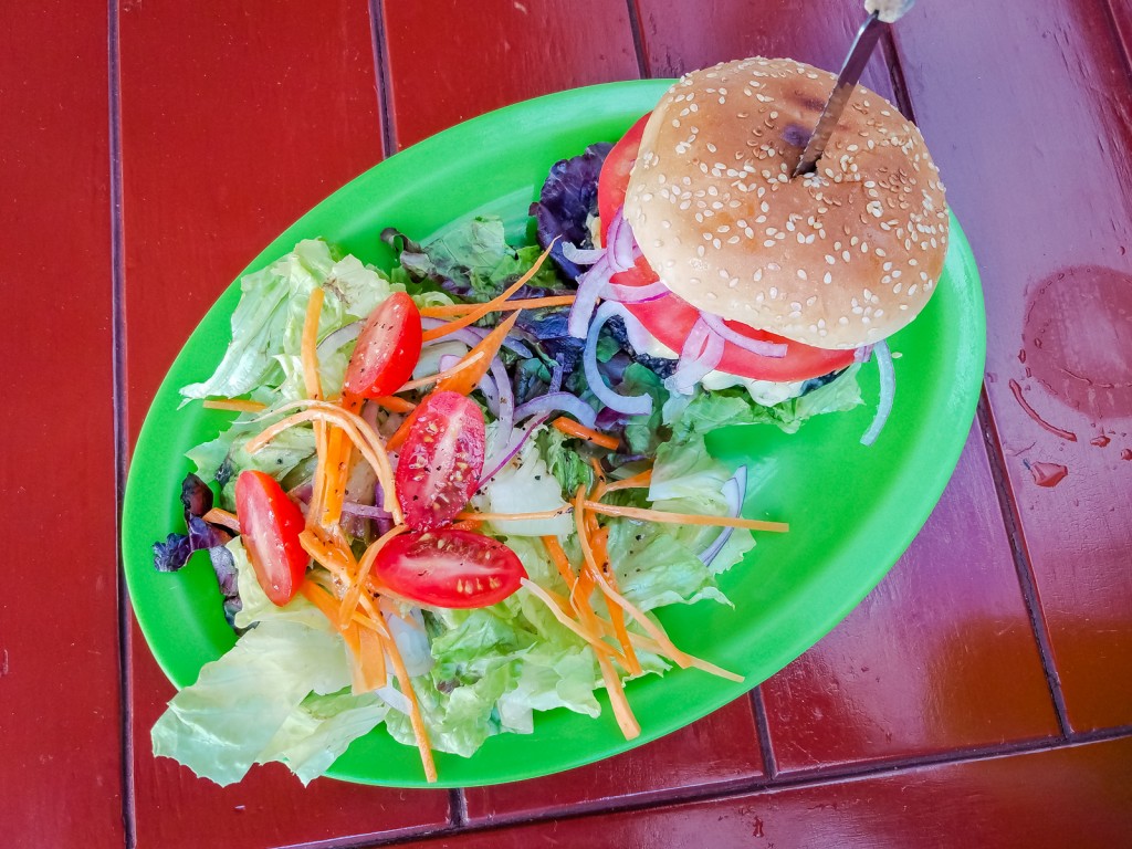 Puerto vallarta vegan burger
