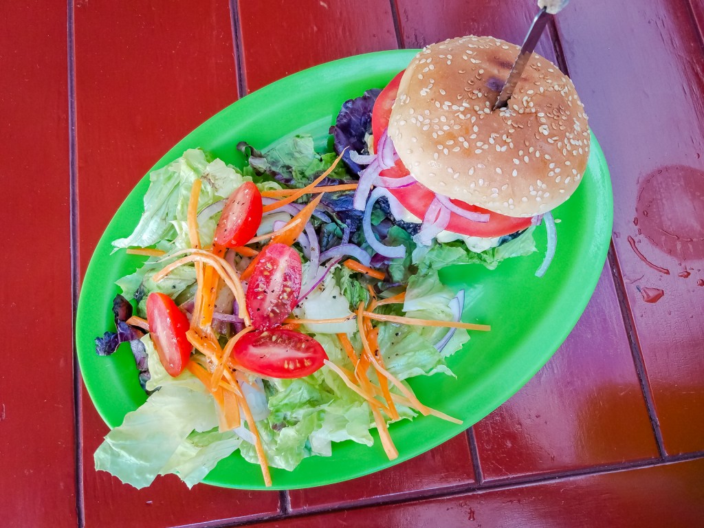 Where to Eat Vegan in Puerto Vallarta Mexico - And a Vegan