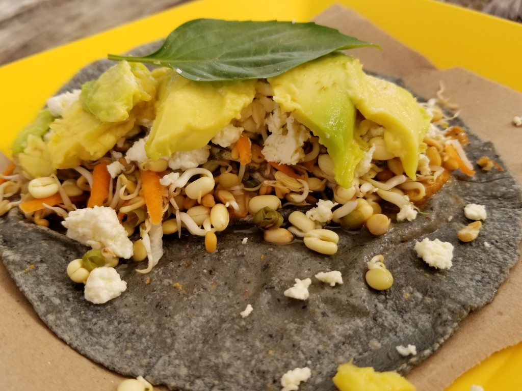 Where to Eat Vegan in Puerto Vallarta Mexico - And a Vegan