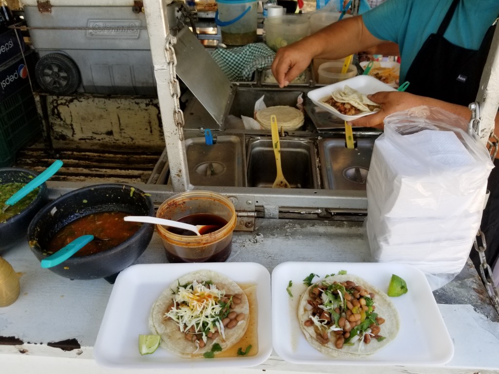 Puerto vallarta vegan food truck