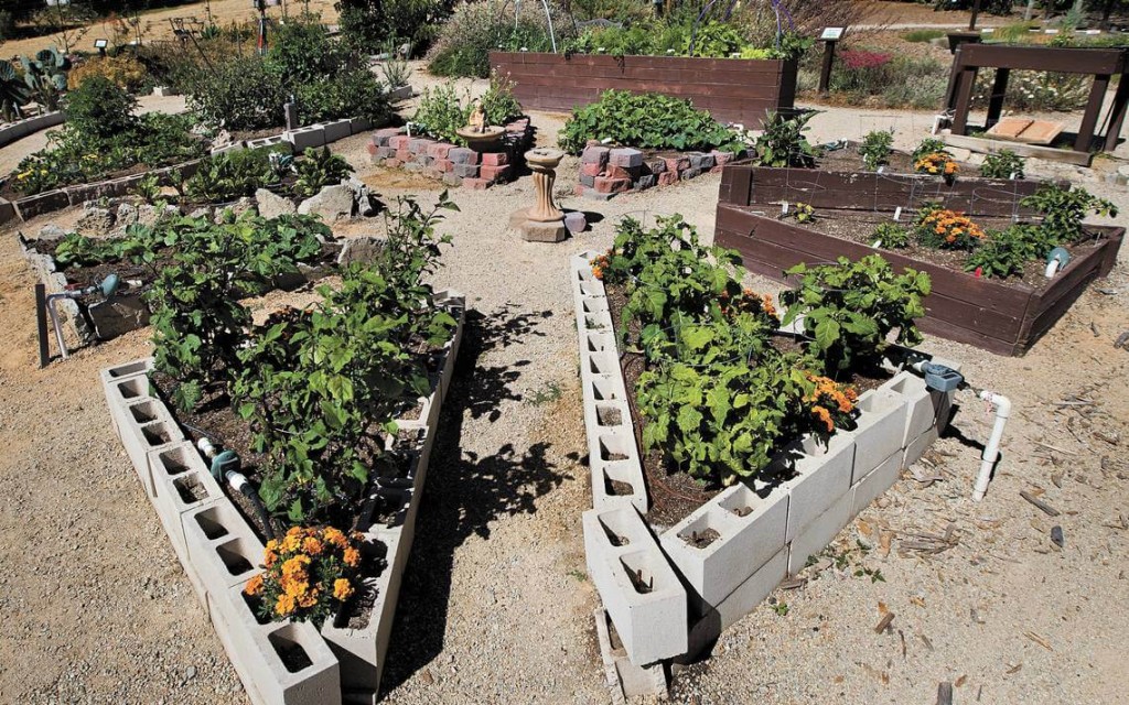 Raised bed ideas: cinder block