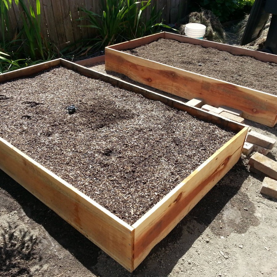 Raised garden beds two more