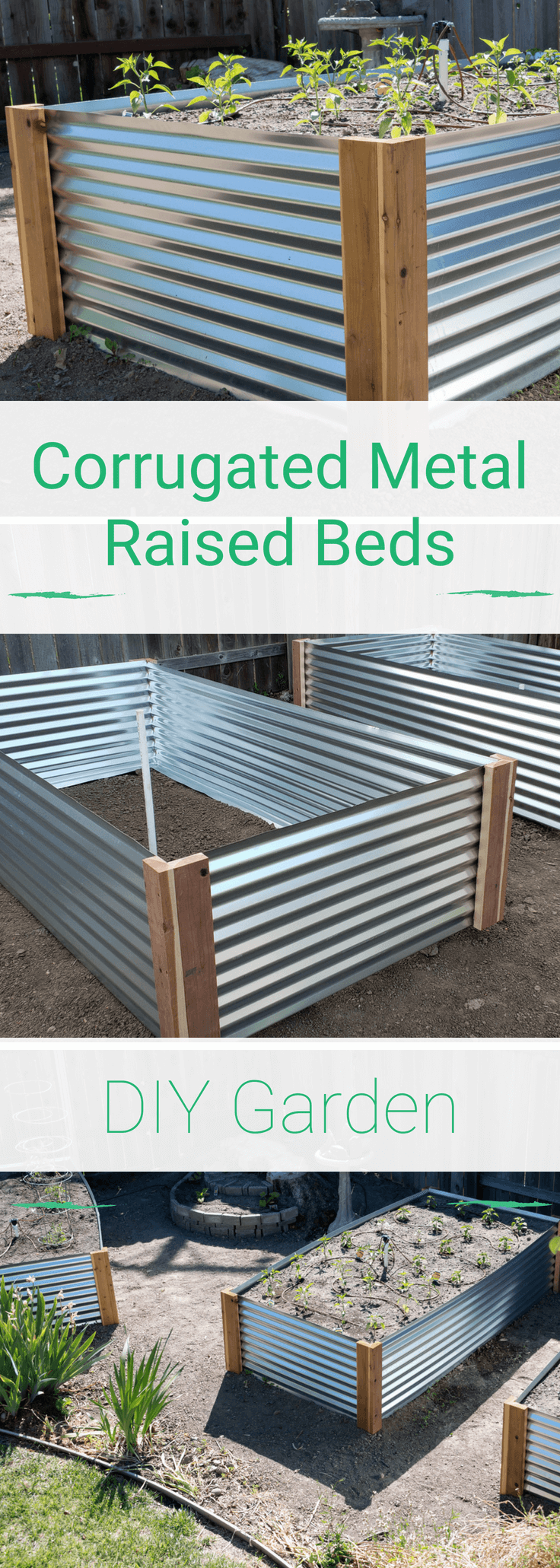 Metal raised garden bed corrugated metal pinterest