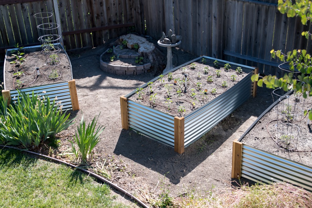 Checking out the beauty of the metal raised garden beds from the roof