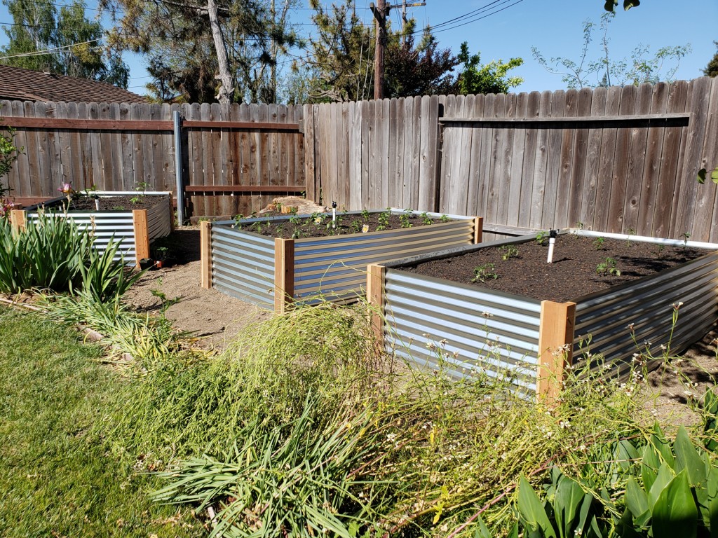 The diy raised metal garden bed project is complete
