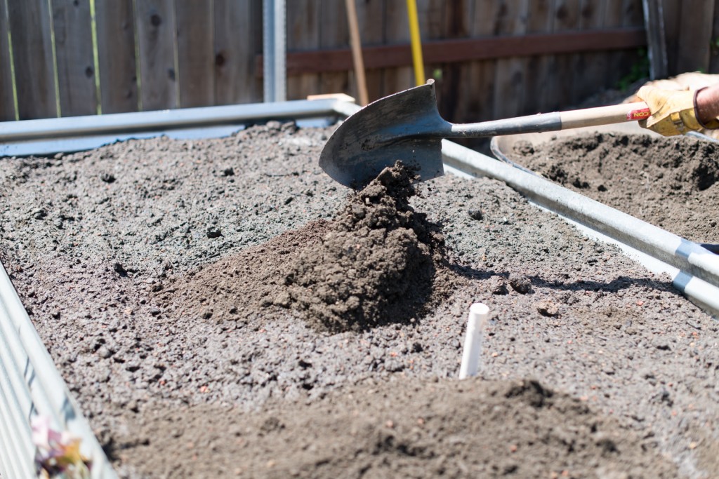 Filling the metal raised garden beds up with even more dirt and some shovel action