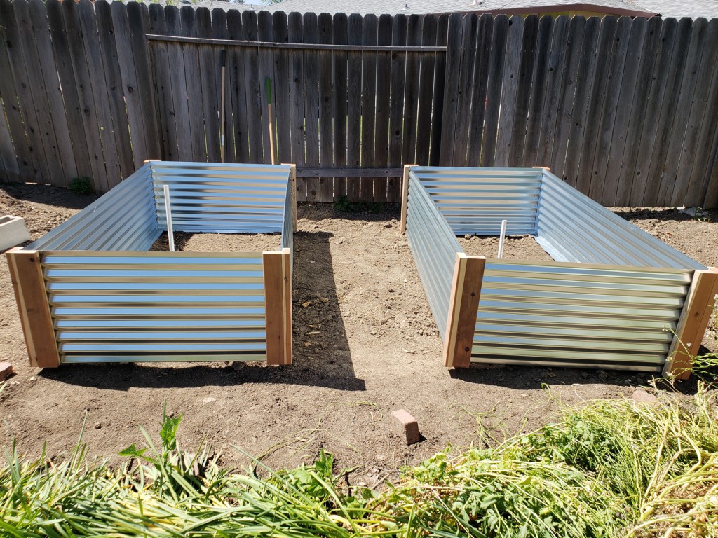 Perfecting the spacing plans for two metal raised garden beds
