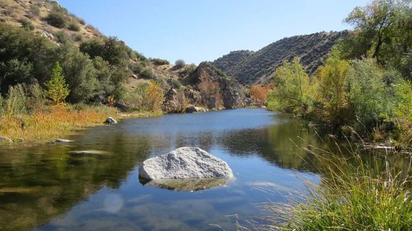 Knee deep hot springs