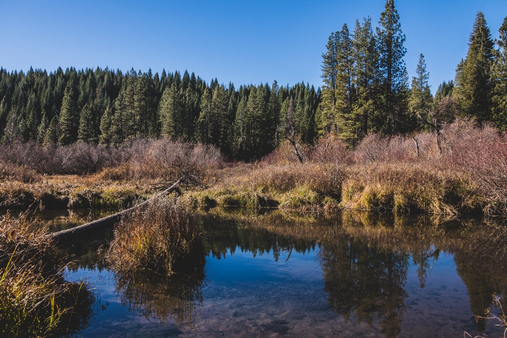 Lakin dam mccloud siskiyou county hidden gems