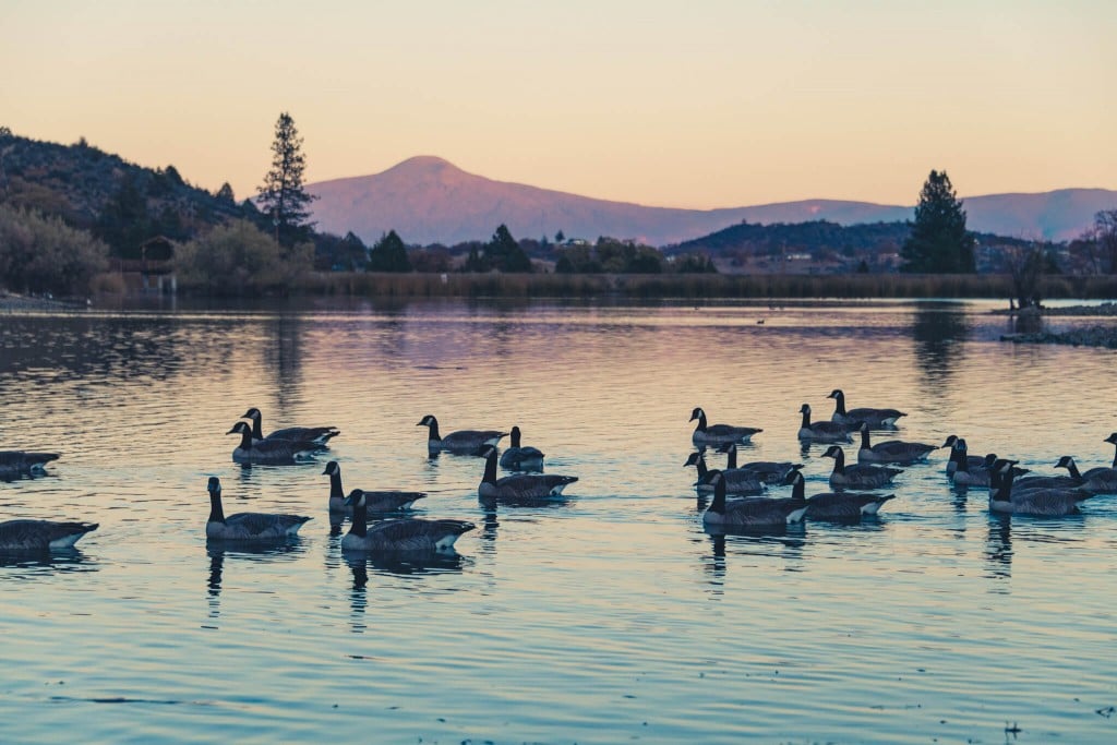 Greenhorn park yreka siskiyou county hidden gem