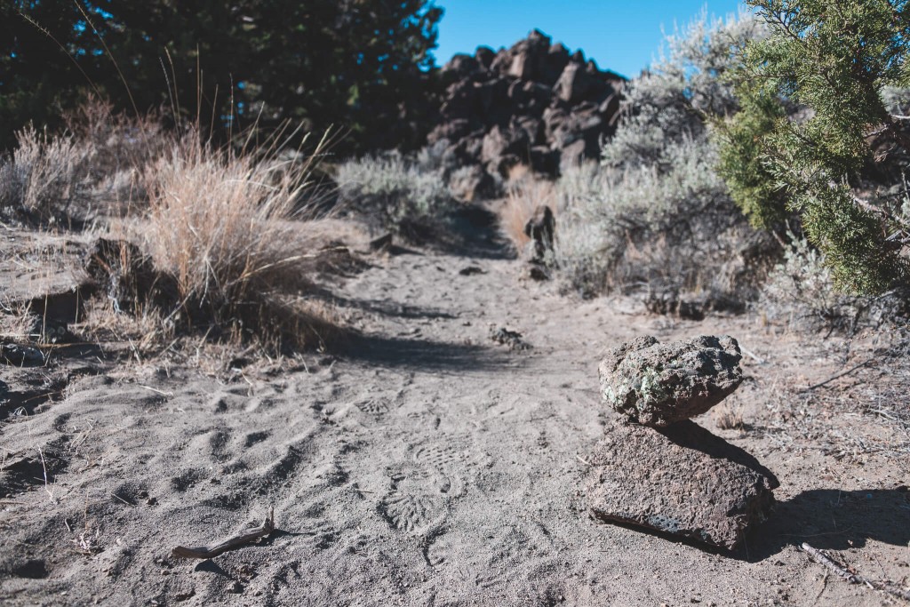 Plutos cave trail siskiyou county hidden gem