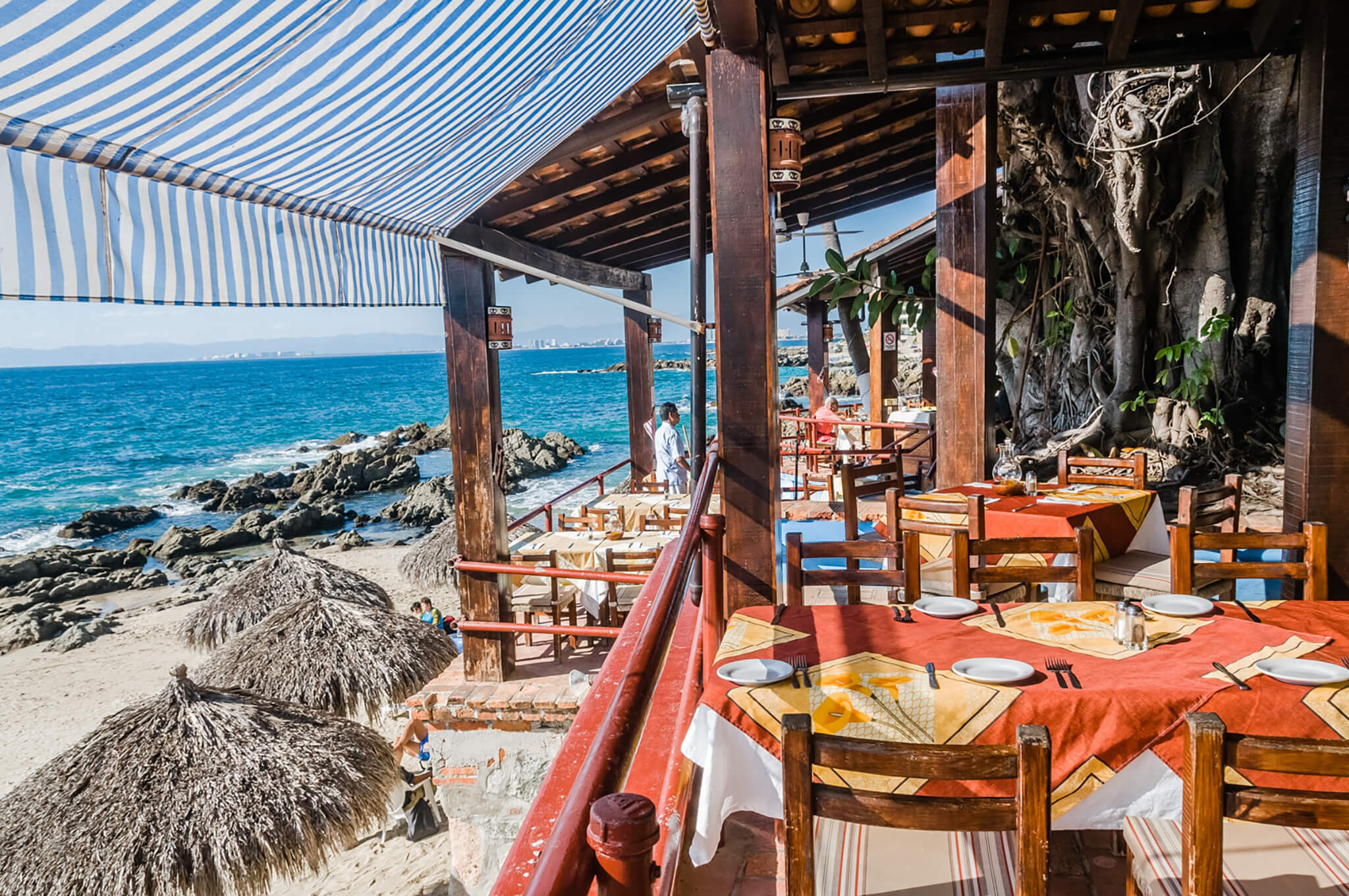 Restaurante Planeta Vegetariano, México en Puerto Vallarta