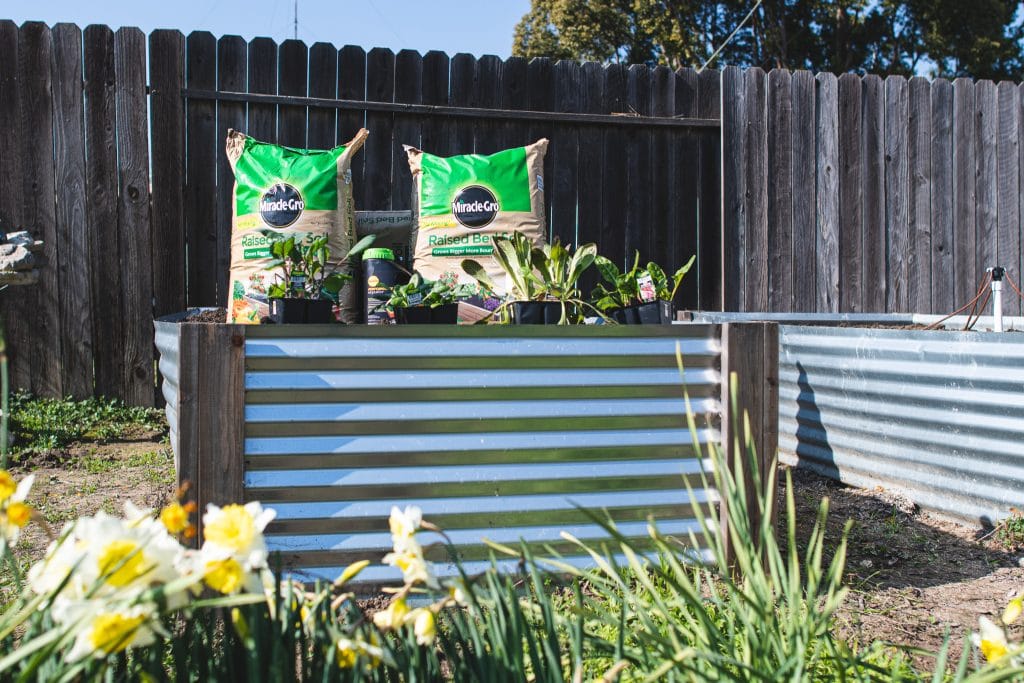 Raised bed supplies ready to plant