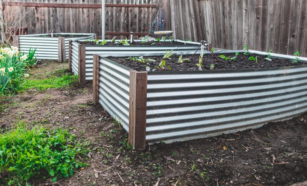 Planted raised beds