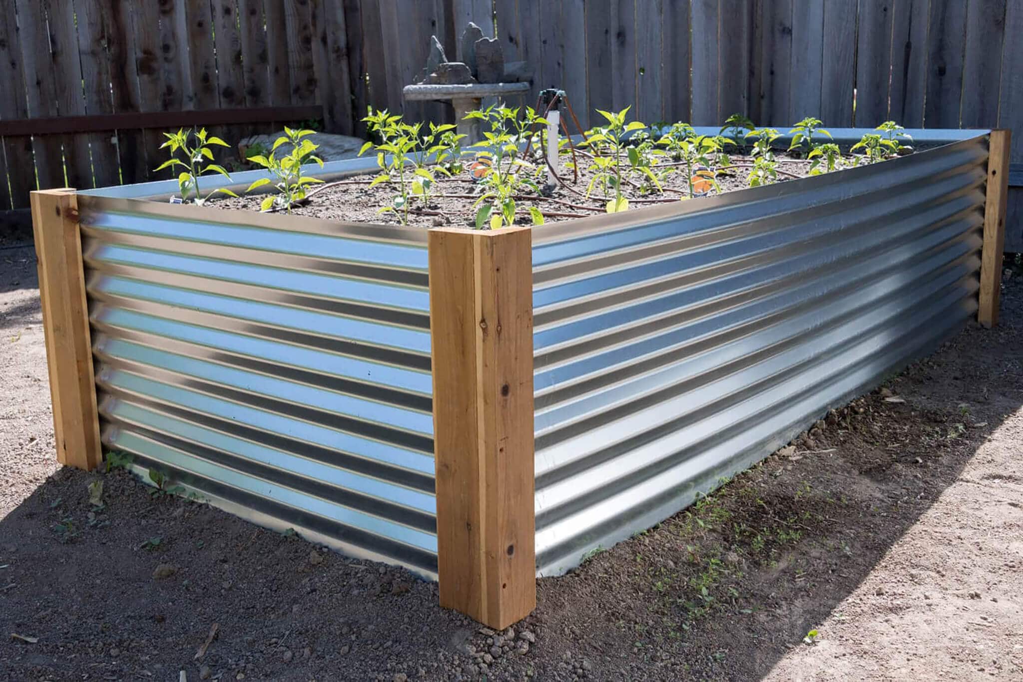 Corrugated metal raised beds for the garden