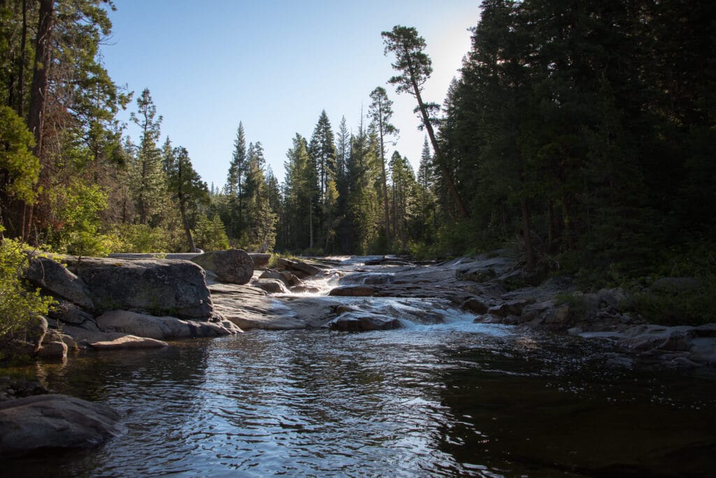 Sourcing paper products, flowing river in the forest