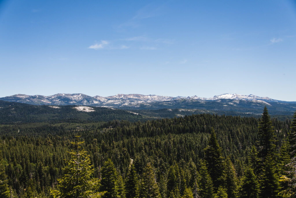 Sustainability in paper products, forest snow-capped mountains