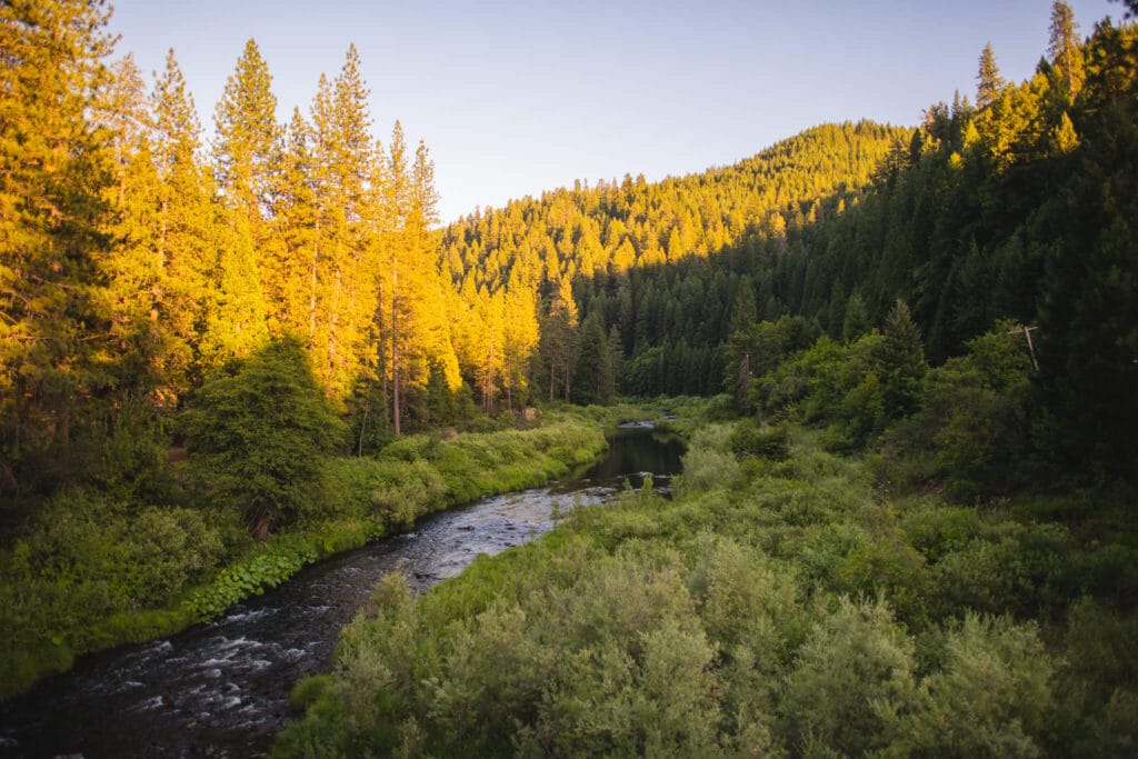 Plumas county road trip, river in taylorsville