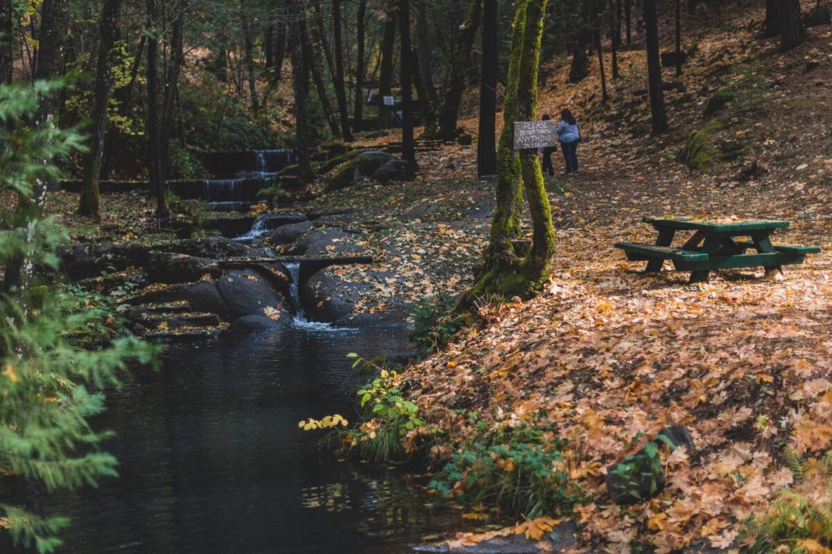 Creek running through the indian rock property