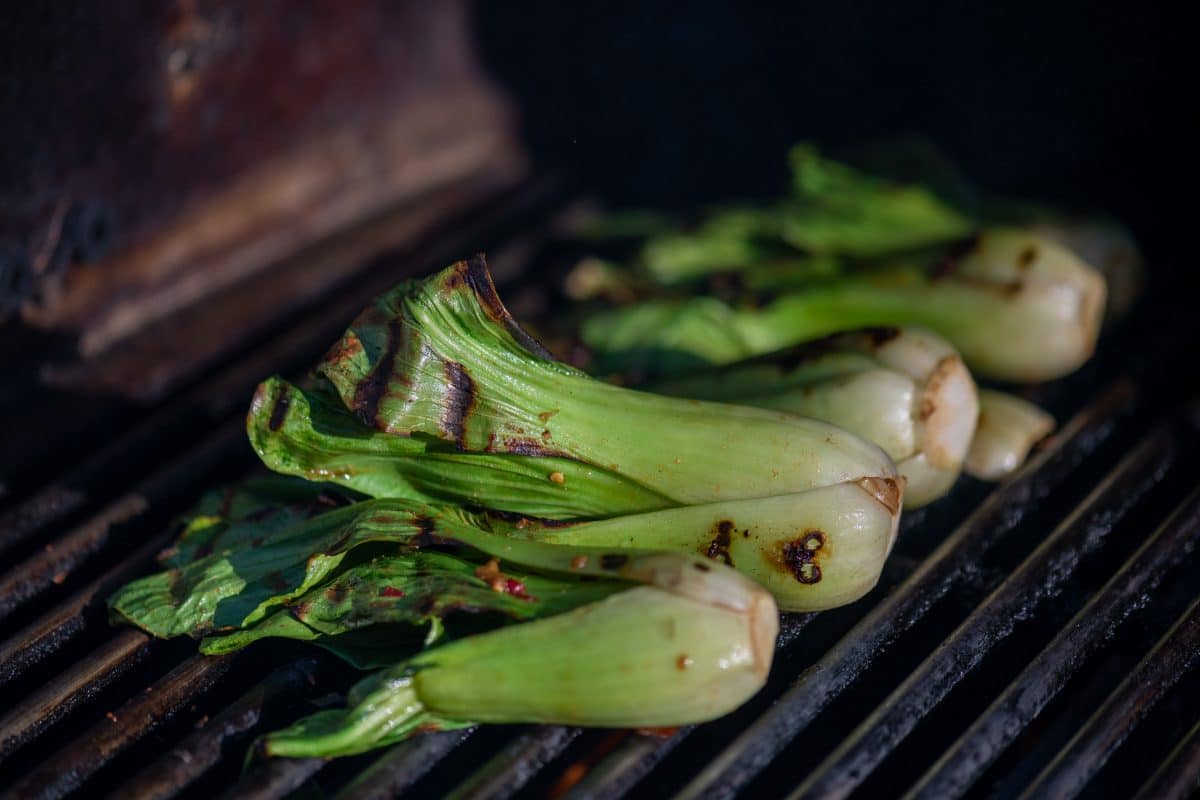 Grilled bok choy charred leaves