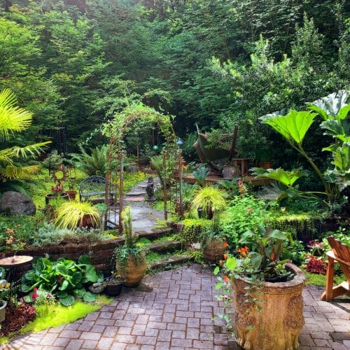 Plants that dont attract bees