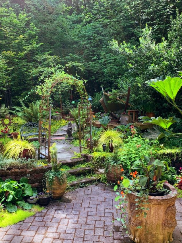 Plants That Keep Bees Away Story