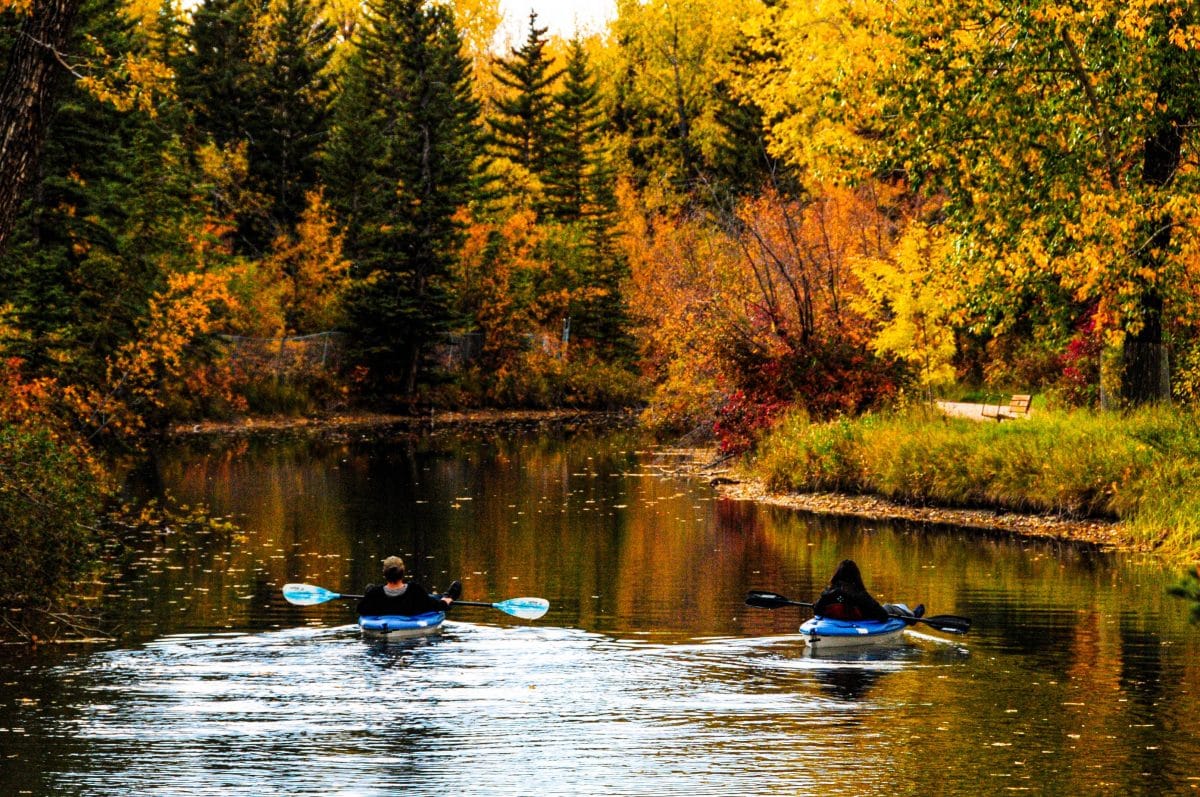 Planning on going kayaking on your next trip? Here's a useful guide