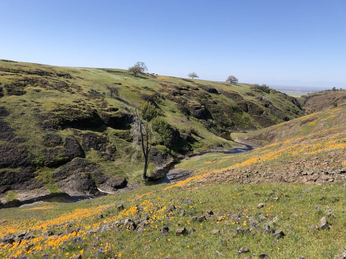 North tabletop mountain ecological reserve stream megan