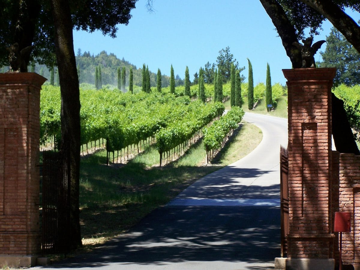 Best time to visit napa valley view of vineyard